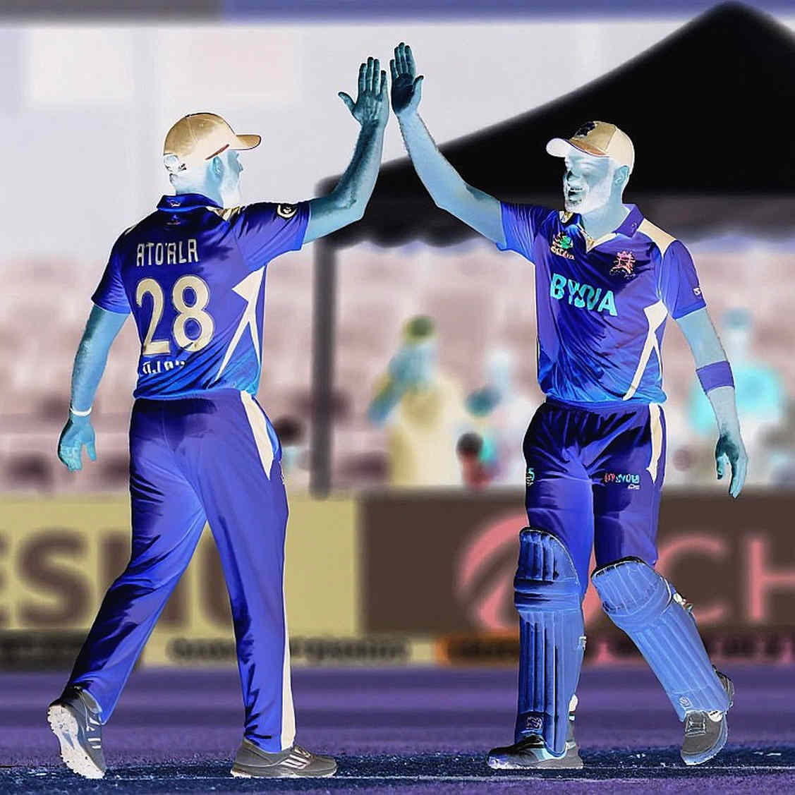 Flawless Schema, Empty Payload: The Most Dangerous Report in Cricket Analytics Looks Perfect
