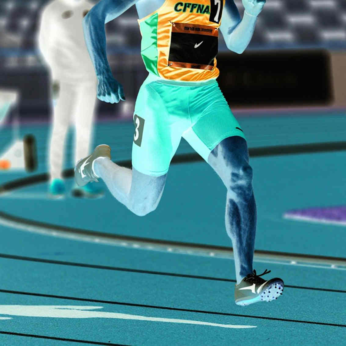 A Half Marathon Audit: What 1:39 Means, and What It Doesn't A Half Marathon Audit: What 1:39 Means, and What It Doesn't