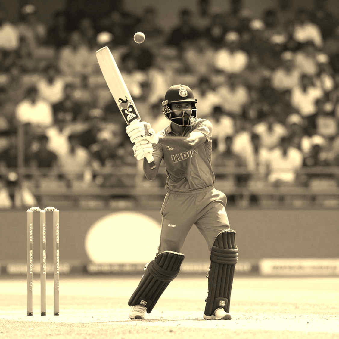 Emptiness in the Crowd of Data: Reading the Empty Cell in Cricket's Analytics Age