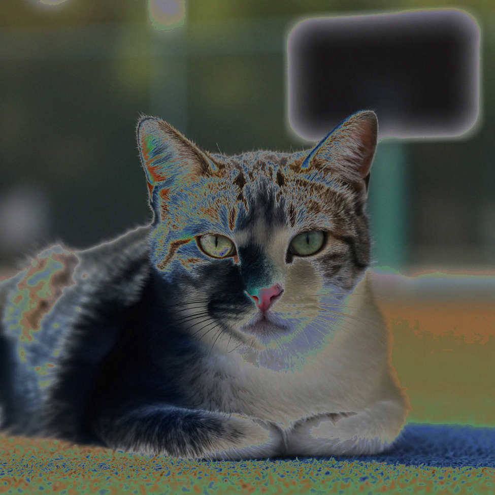 Request Cannot Be Fulfilled: No Analyzable Blockchain Content in the Source Request Cannot Be Fulfilled: No Analyzable Blockchain Content in the Source