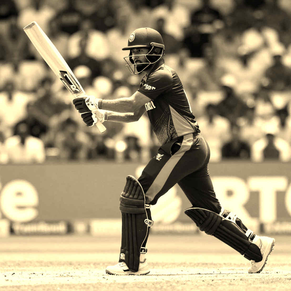 The Silent Testimony of an Empty File: Information Integrity and the Discipline of the Timestamp in Cricket Analysis The Silent Testimony of an Empty File: Information Integrity and the Discipline of the Timestamp in Cricket Analysis